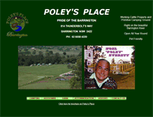 Tablet Screenshot of poleysplace.com
